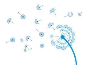 攜手長春網(wǎng)站建設(shè)，打造企業(yè)專屬的數(shù)字化門戶