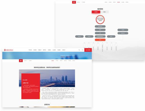深圳企業(yè)聯(lián)合會攜手沙漠風(fēng)網(wǎng)站建設(shè)公司，打造長春企業(yè)數(shù)字化轉(zhuǎn)型標(biāo)桿