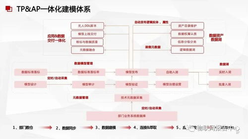 數(shù)據(jù)中臺與數(shù)據(jù)治理服務(wù) 構(gòu)建企業(yè)智能化核心的軟件開發(fā)方案
